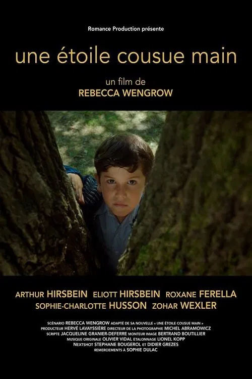 A Hand Sewn Star movie poster