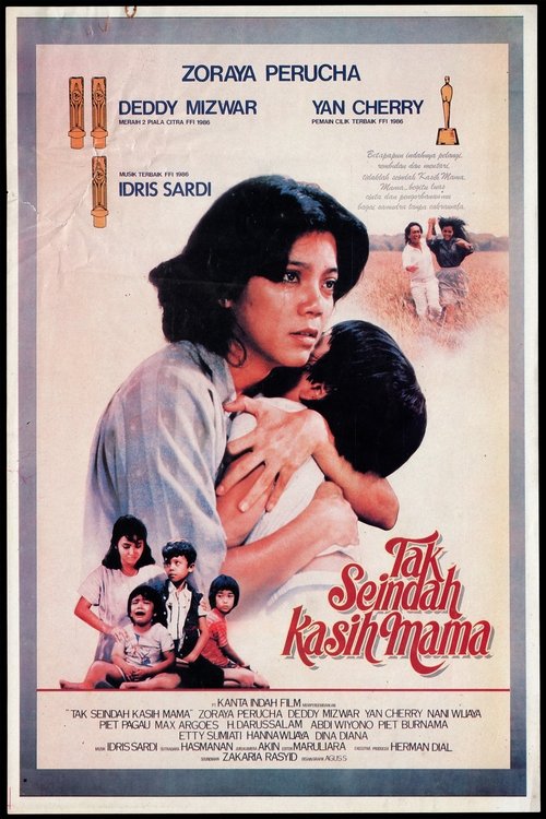 Poster do filme Not as Beautiful as a Mother's Love
