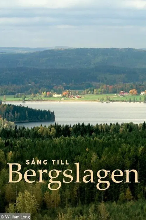 Song to Bergslagen movie poster