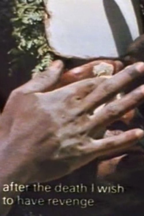 Poster do filme Tighten the Drums: Self-Decoration Among the Enga