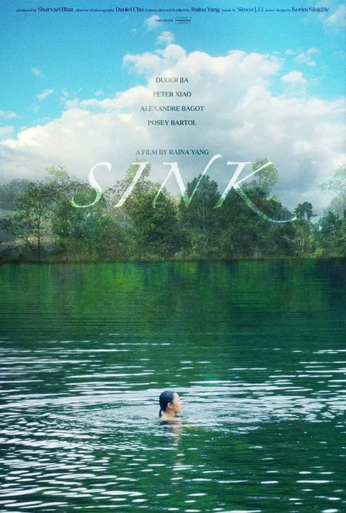 Poster do filme Sink