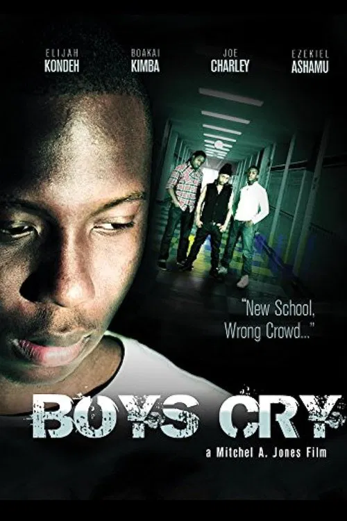 Poster do filme Boys Cry