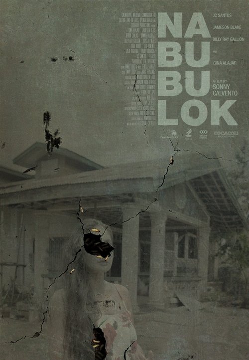 The Decaying movie poster