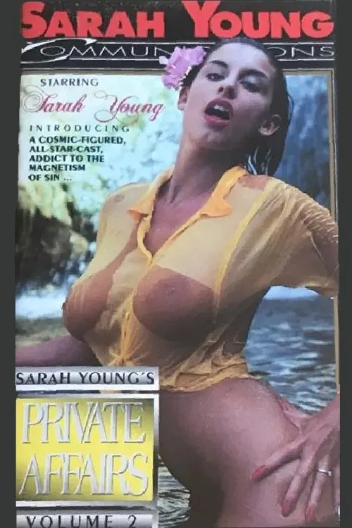 Poster do filme Private Affairs 2