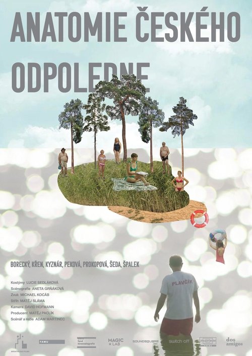 Anatomy of a Czech Afternoon movie poster