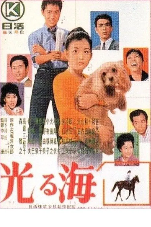 Bright Sea movie poster