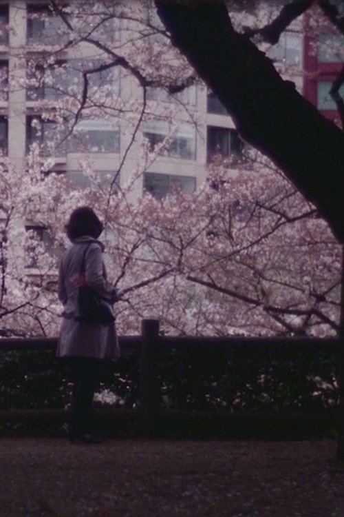 Poster do filme Flowing