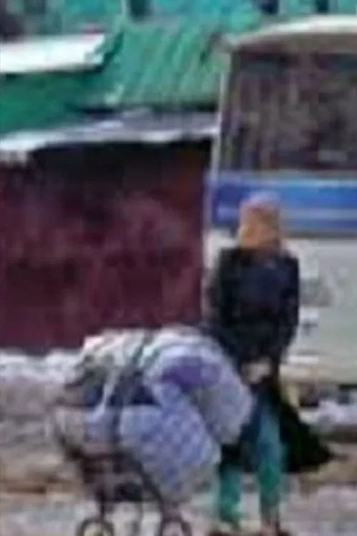 Apricots in the Baskets movie poster