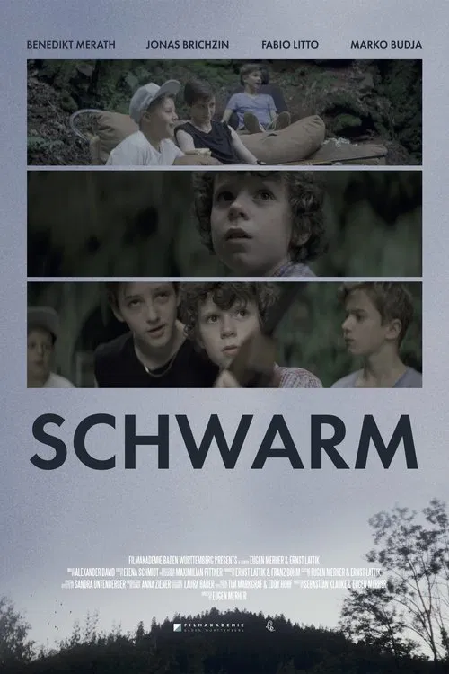 Swarm movie poster