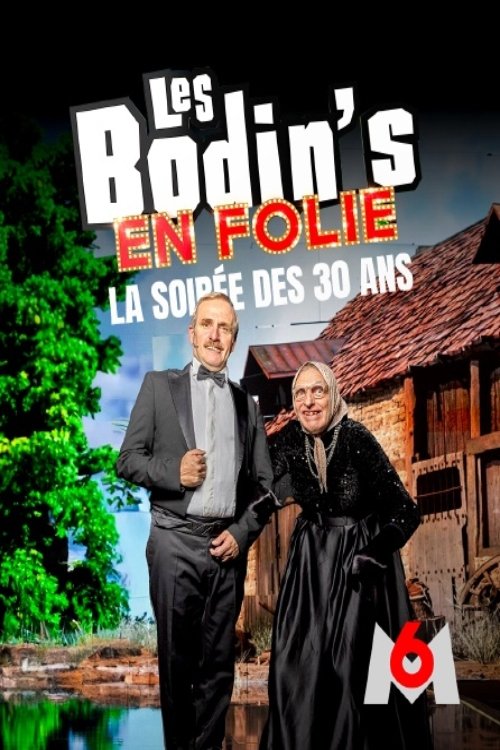 Les Bodin's en folie movie poster