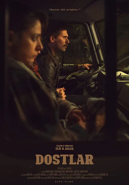 Dostlar movie poster