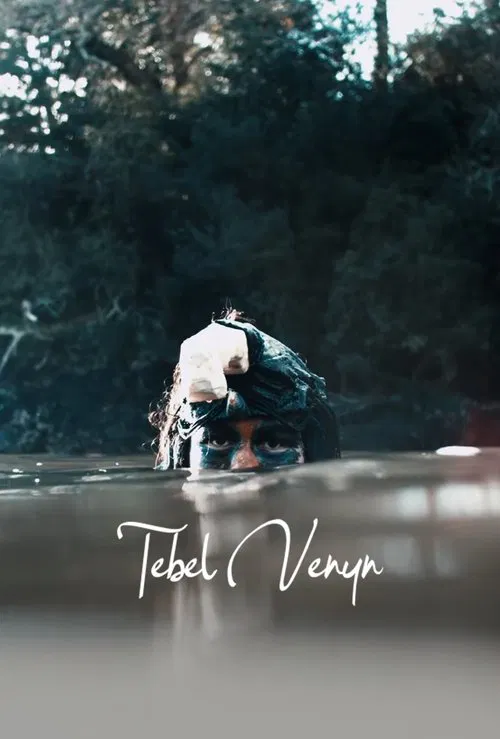 Tebel Venyn movie poster