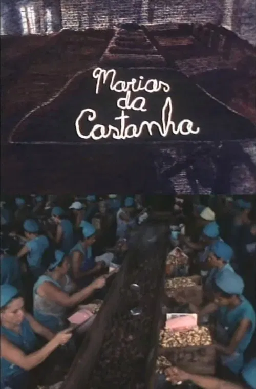 Marias da Castanha movie poster