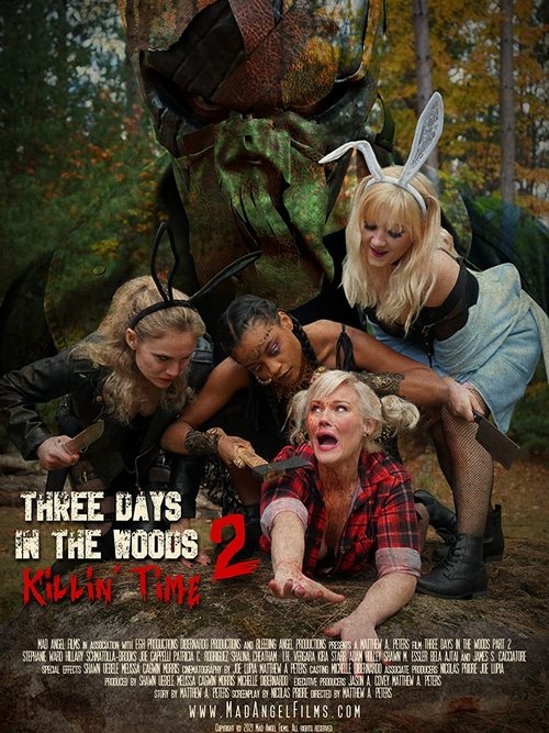 Three Days in the Woods 2: Killin' Time movie poster