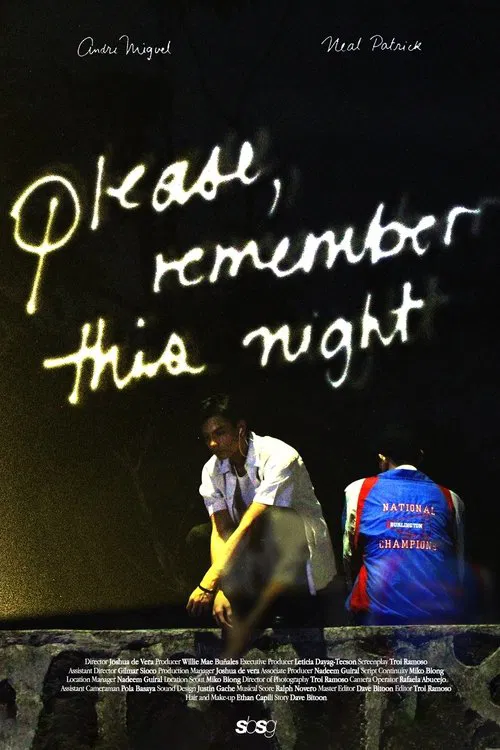 Poster do filme please, remember this night