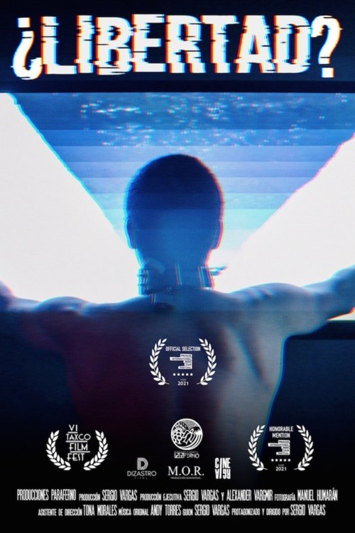¿Libertad? movie poster