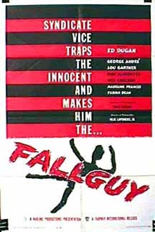 Poster do filme Fallguy