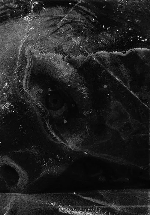 Poster do filme After Psycho Shower