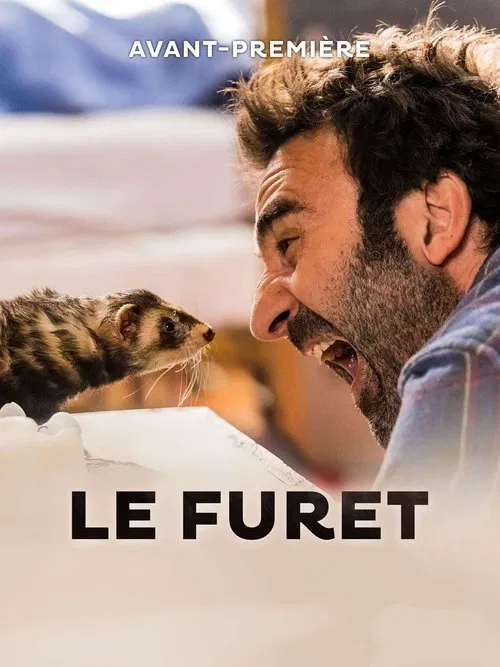 Le furet movie poster