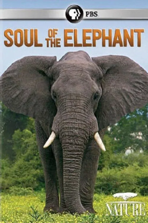 Soul of the Elephant movie poster