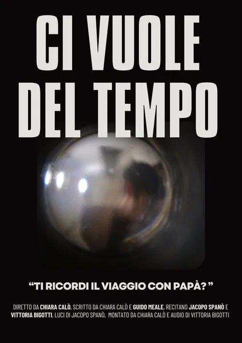 Ci vuole del tempo movie poster