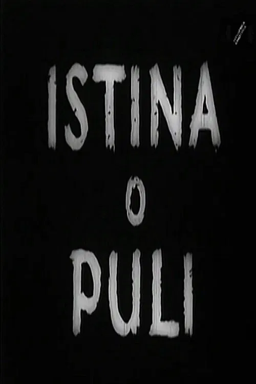 The Truth About Pula movie poster