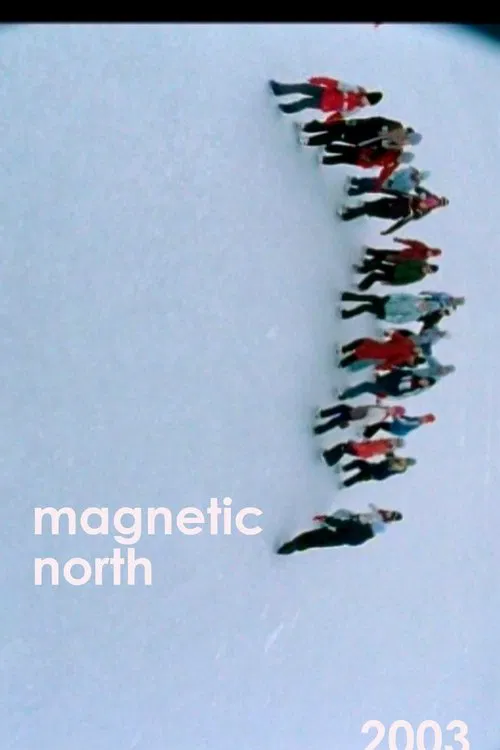 Poster do filme Magnetic North
