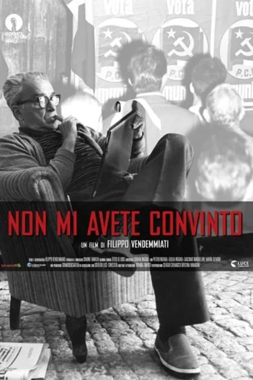 Non mi avete convinto movie poster