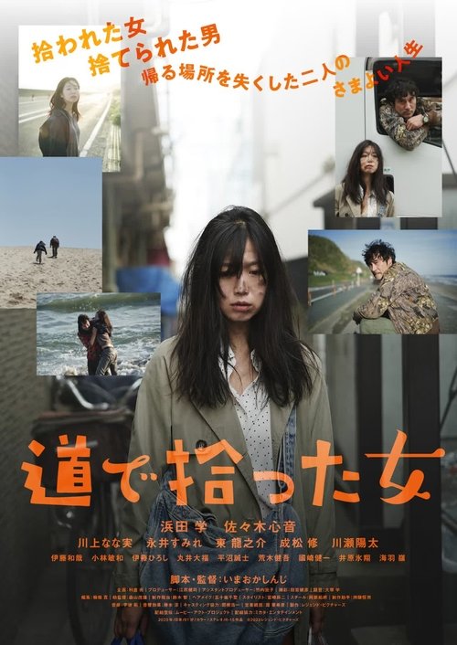 Two on the road movie poster