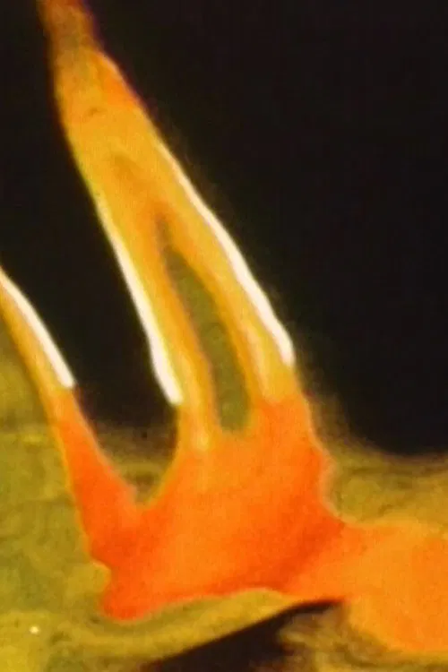 Like a Breeze movie poster