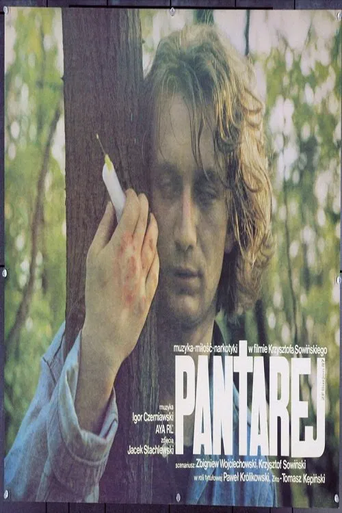 Poster do filme Pantarej