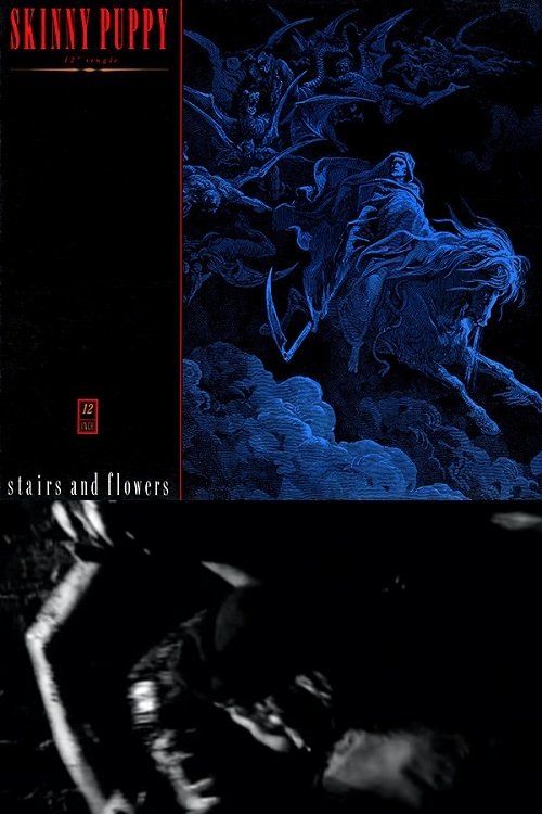 Stairs And Flowers movie poster