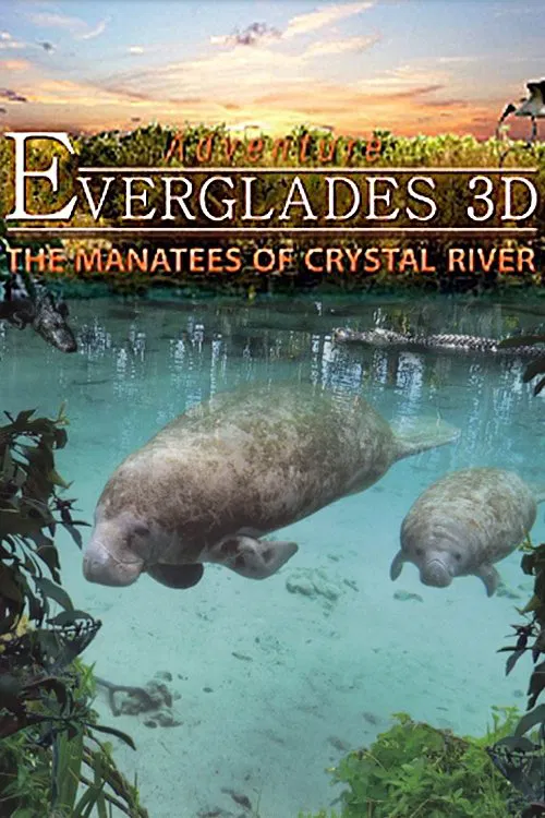 Poster do filme Adventure Everglades 3D - The Manatees of Crystal River
