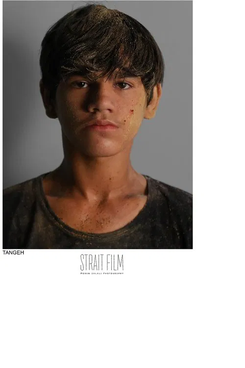 Sina Ebrahimi profile picture