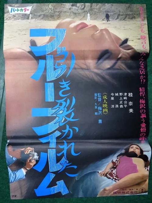 Hikisakareta burū firumu movie poster