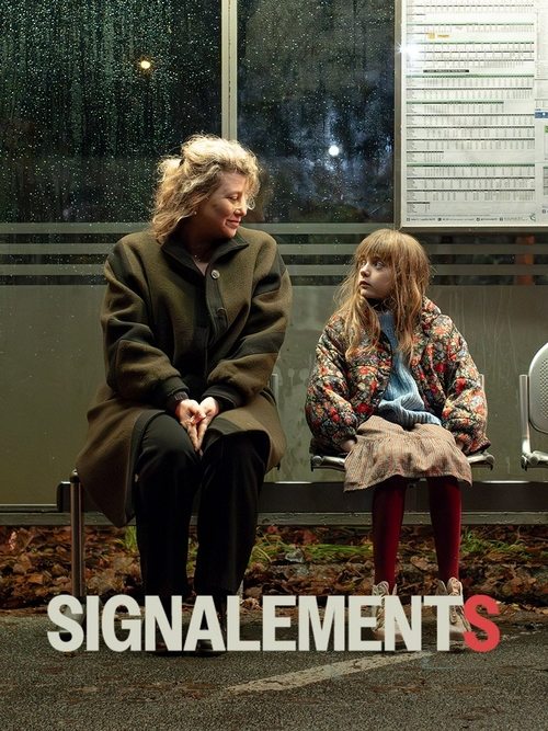 Signalements movie poster