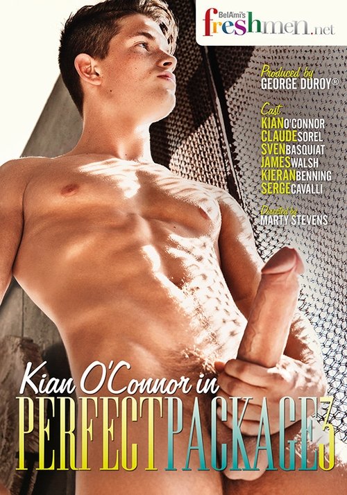 Perfect Package 3 movie poster
