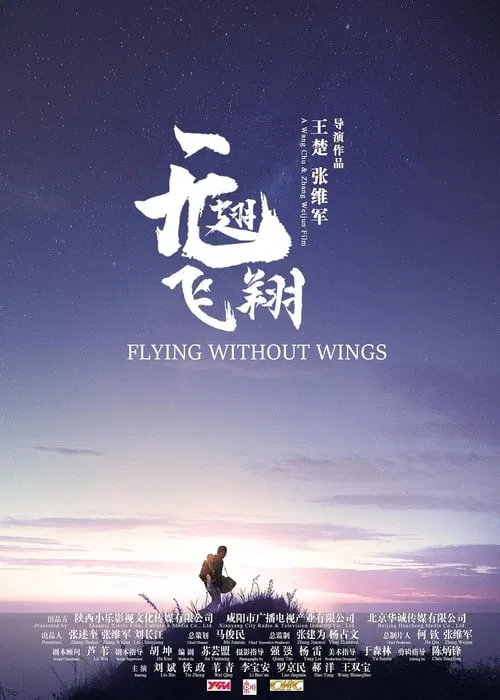 Poster do filme 无翅飞翔