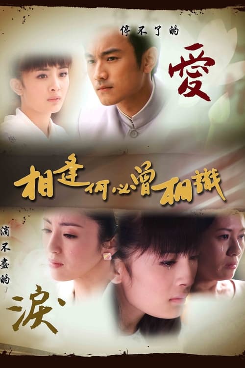 相逢何必曾相识 tv show poster