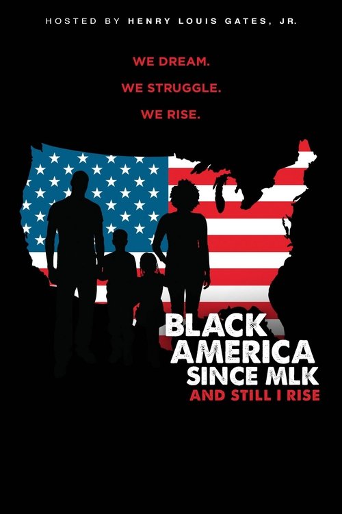 Black America since MLK: And still I rise movie poster