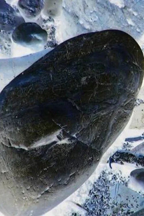 Ecosystem 20 ~ Stone movie poster