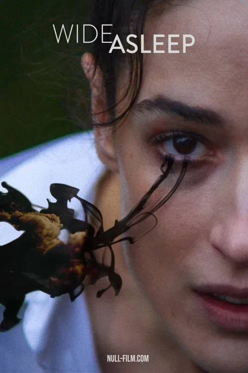 Wide Asleep movie poster