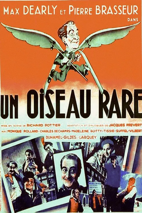 A Rare Bird movie poster