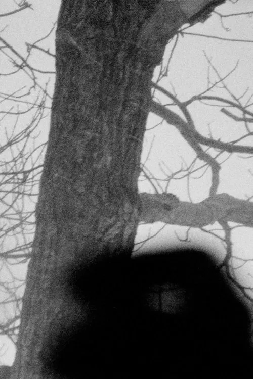 Mend movie poster
