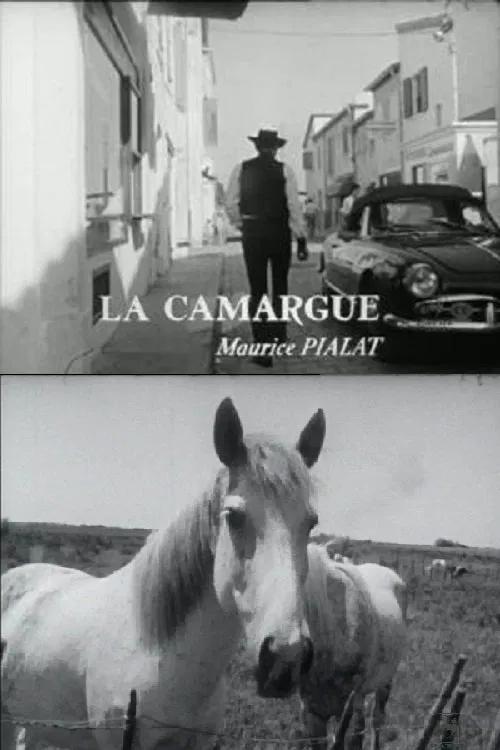 La Camargue movie poster
