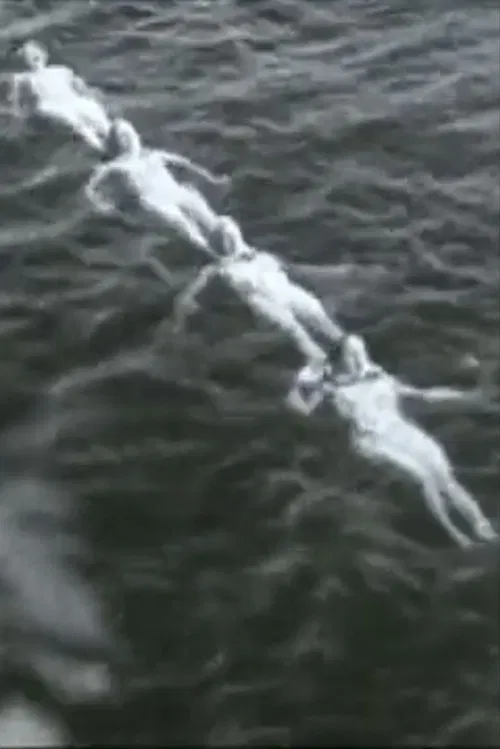 Ballet of the Mermaids movie poster