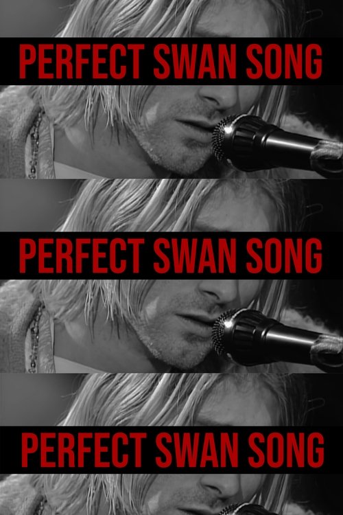 The Perfect Swan Song movie poster