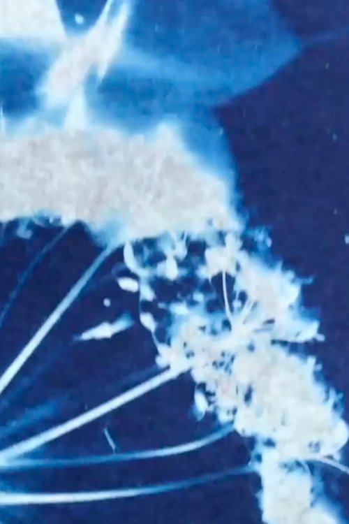 Into the Blue movie poster