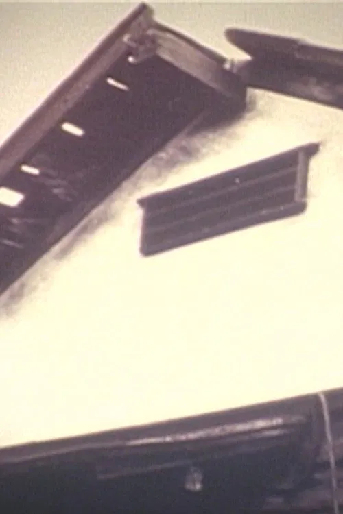 The Forgettable Sights movie poster