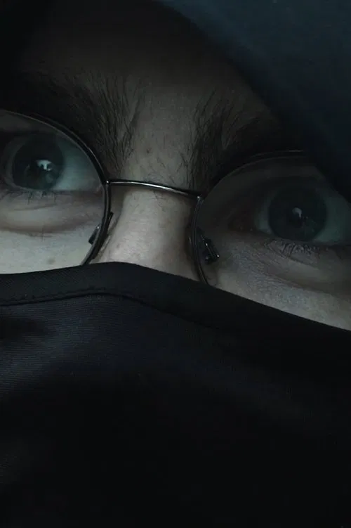 The Great Battle of Zebras movie poster